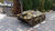 ~MSE~ RC Panzer "Hetzer" - mit Metallketten &amp; Elmod 1/16 (Vorbestellung)