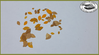 ~MM~ Leaves "beech" - autumn approx. 50 pieces - for diorama 1:16
